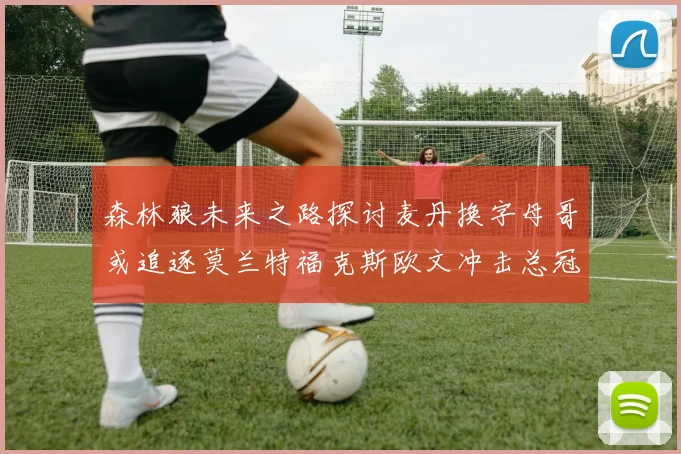 森林狼未来之路探讨麦丹换字母哥或追逐莫兰特福克斯欧文冲击总冠军